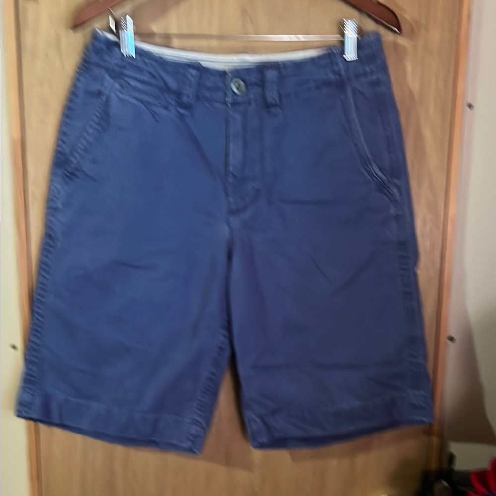 Men's American Eagle Blue Shorts